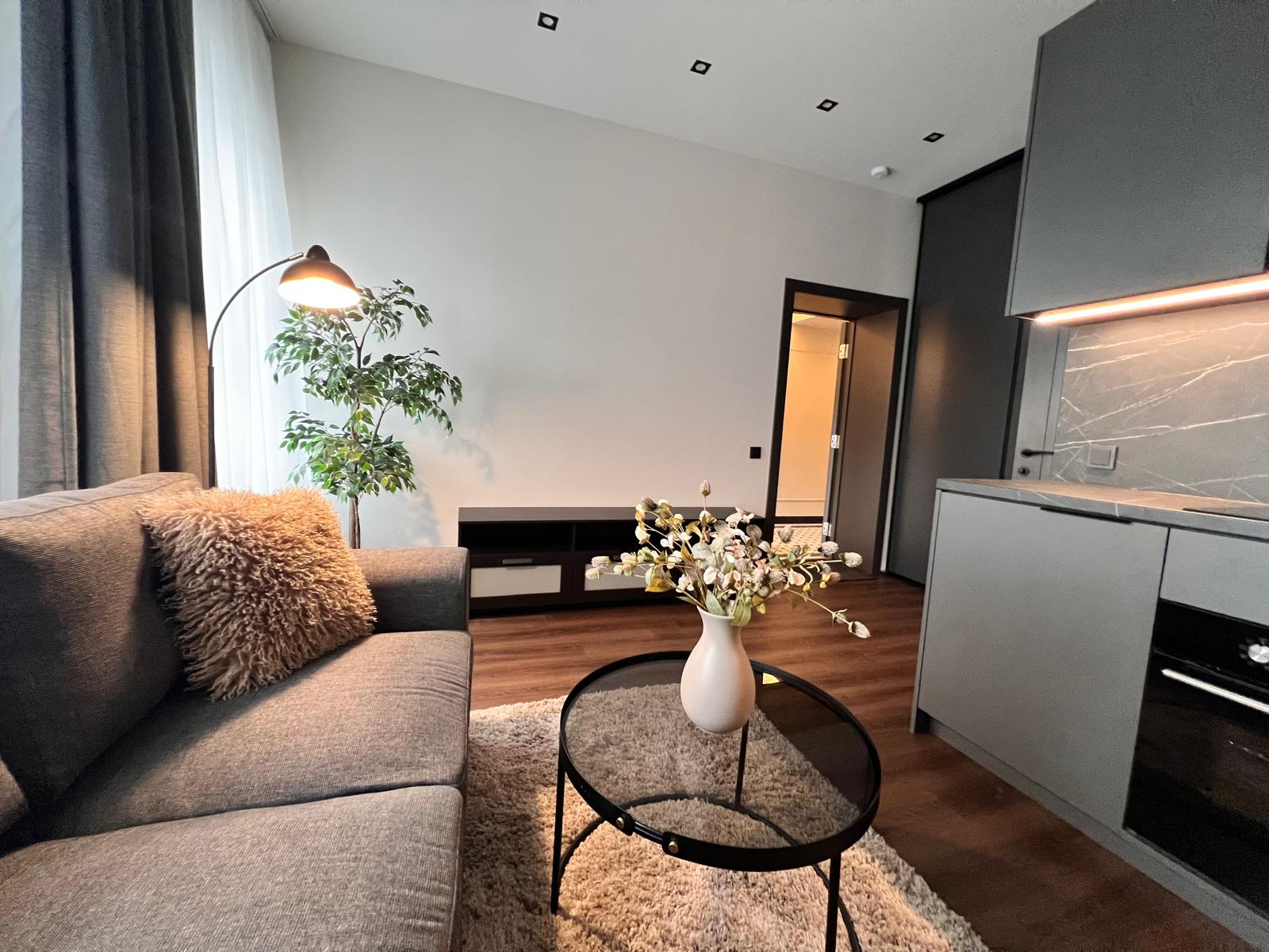 Modern living room with gray sofa